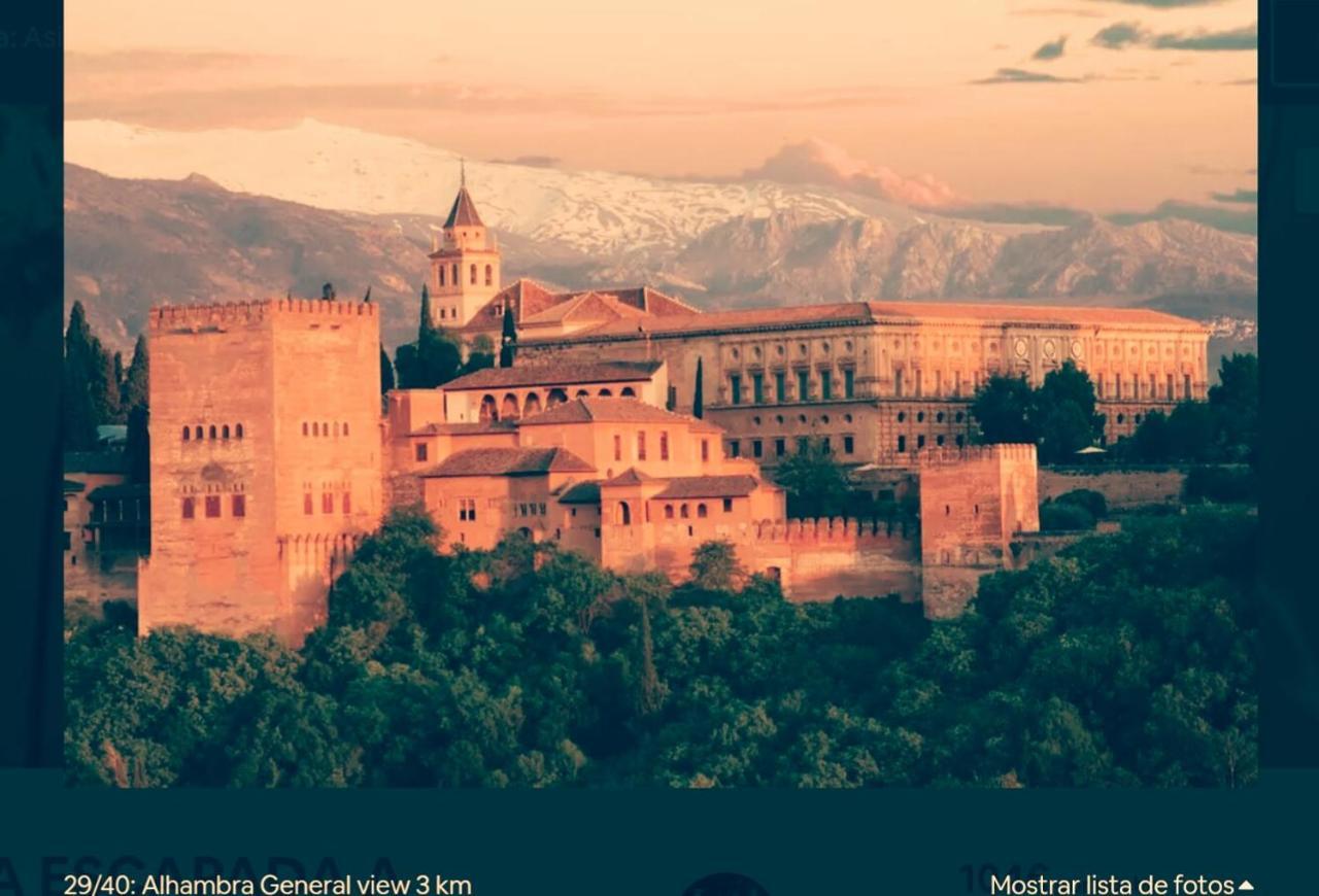 Confort By Congress Palace غرناطة المظهر الخارجي الصورة